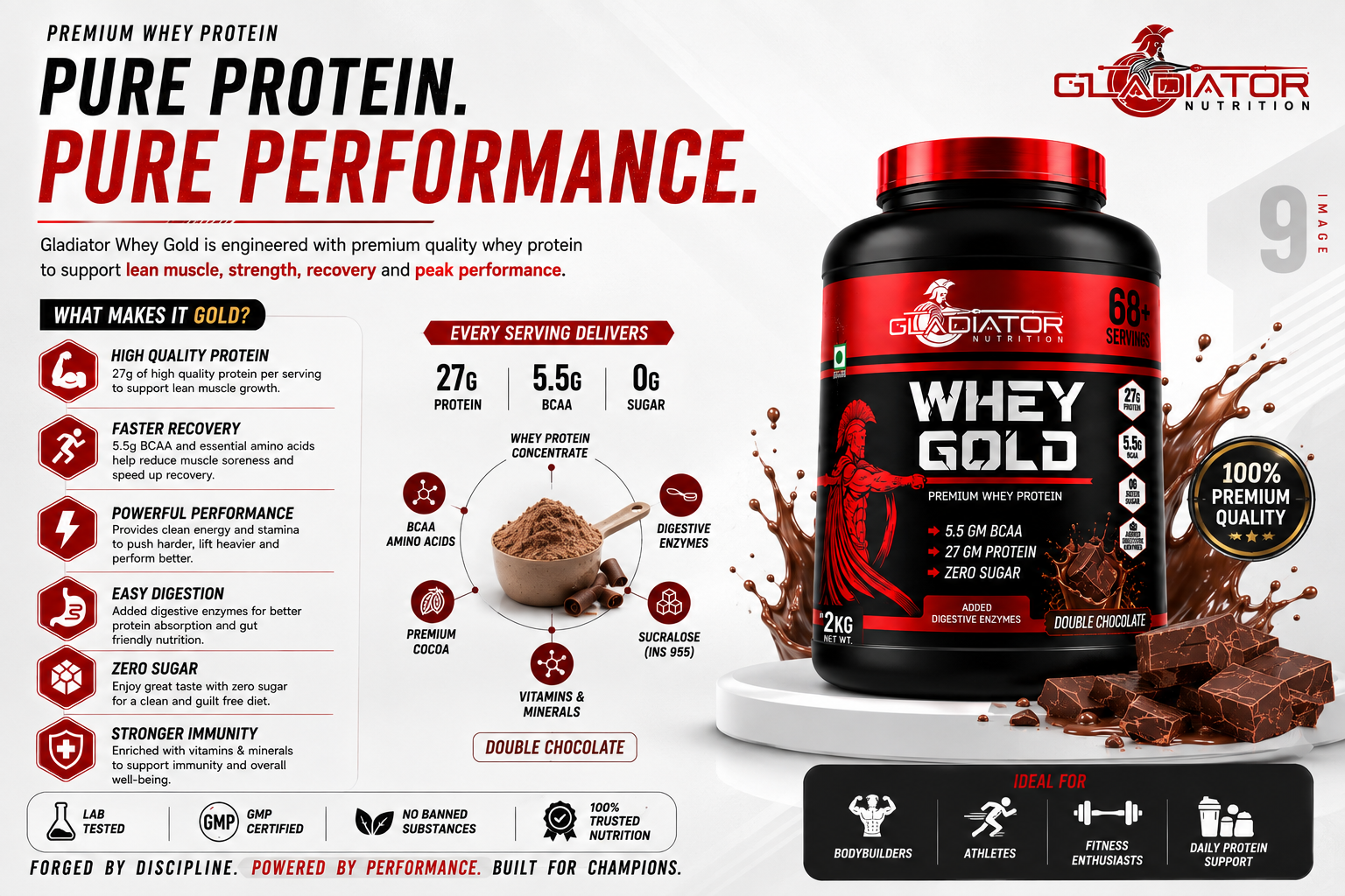Gladiator Nutrition Whey Gold Protein 2kg | 27g Protein | Double Chocolate