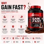 Gladiator Gain Fast Muscle Weight Gainer 3KG