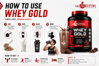 Gladiator Nutrition Whey Gold Protein 2kg | 27g Protein | Double Chocolate