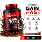 Gladiator Gain Fast Muscle Weight Gainer 3KG