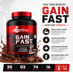 Gladiator Gain Fast Muscle Weight Gainer 3KG